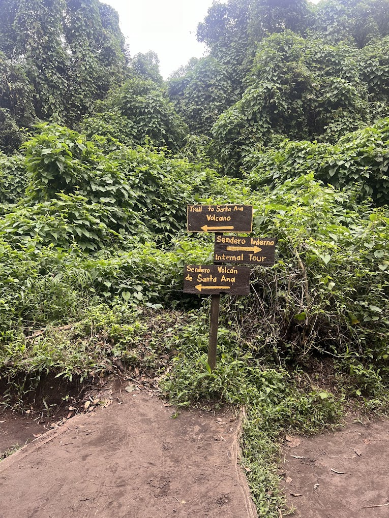 馃寢 Ruta Lagos y Volcanes - Imagen 5