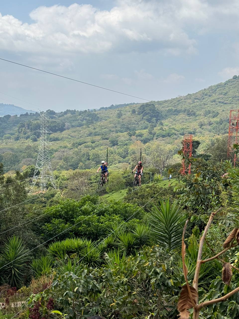 🌺 Ruta de las Flores Modificada - Imagen 9