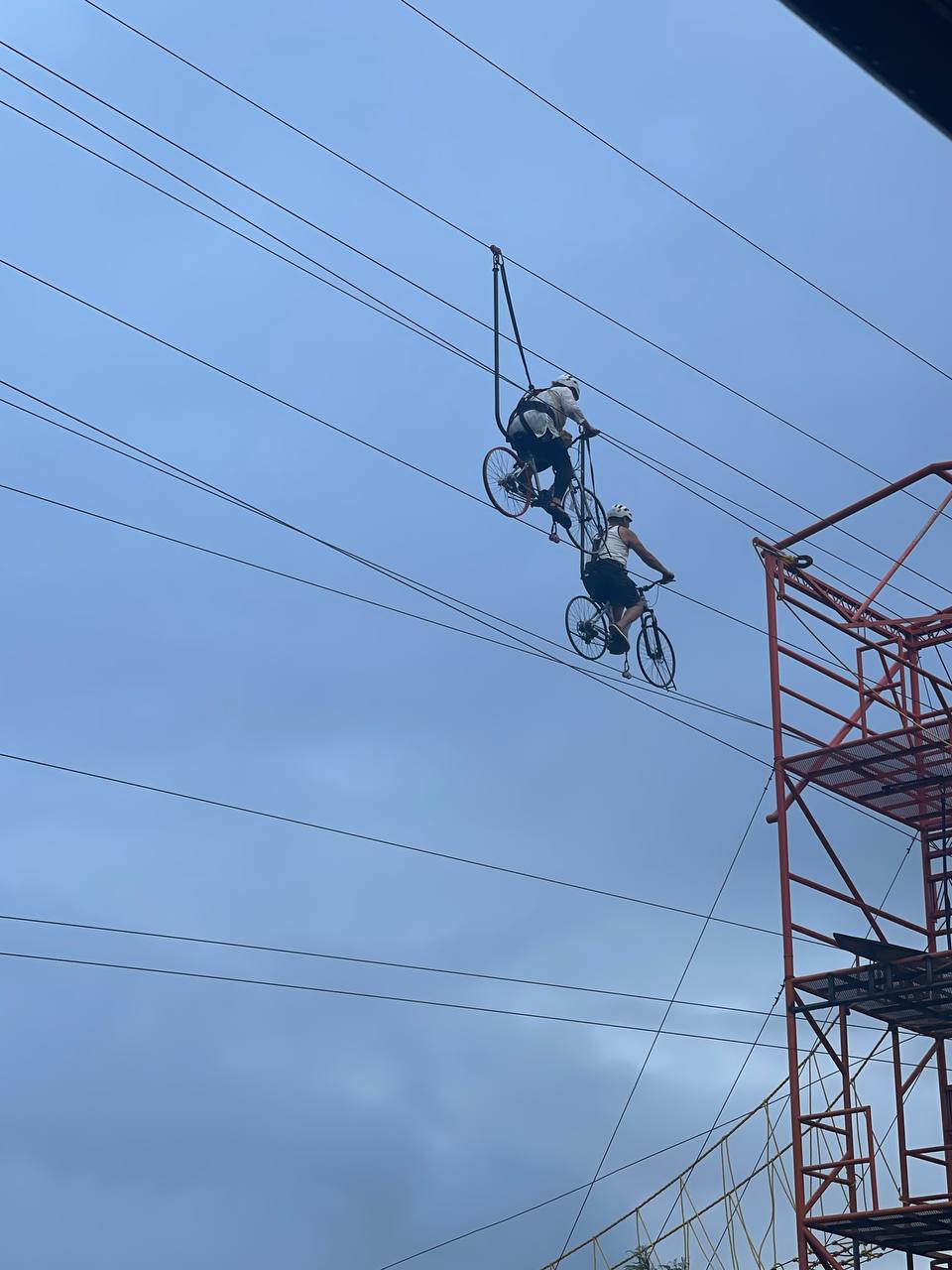 🌺 Ruta de las Flores Modificada - Imagen 3