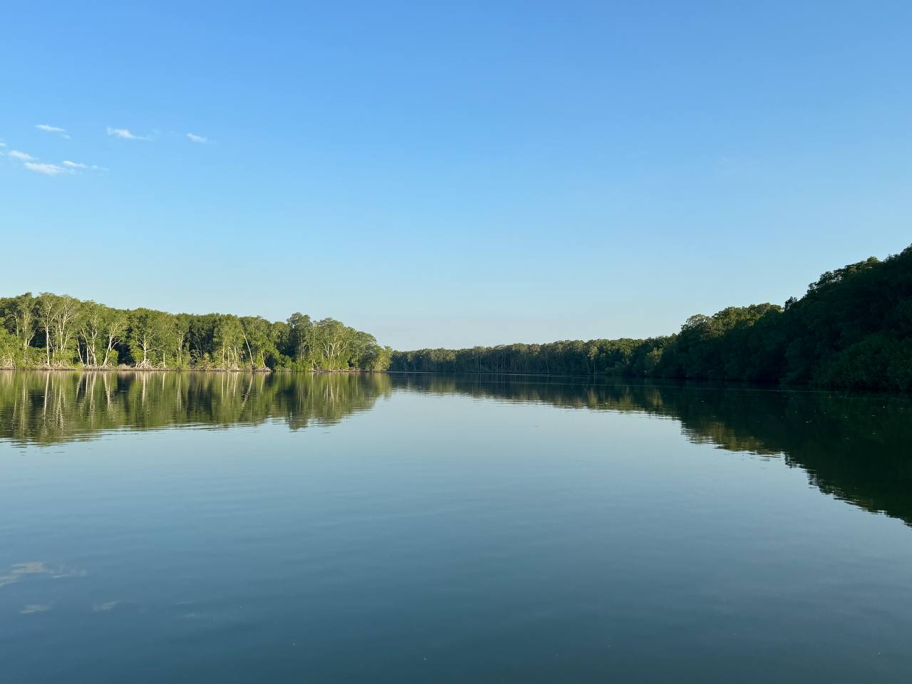 🛶 Tour Estero Jaltepeque - Imagen 2