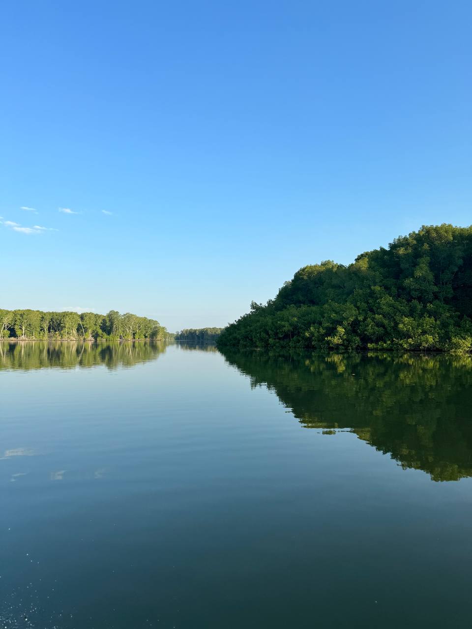 🛶 Tour Estero Jaltepeque - Imagen 4