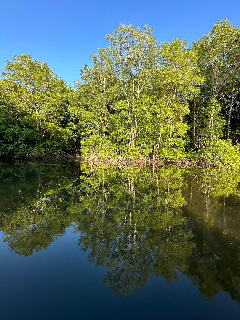 🛶 Tour Estero Jaltepeque - Imagen 5