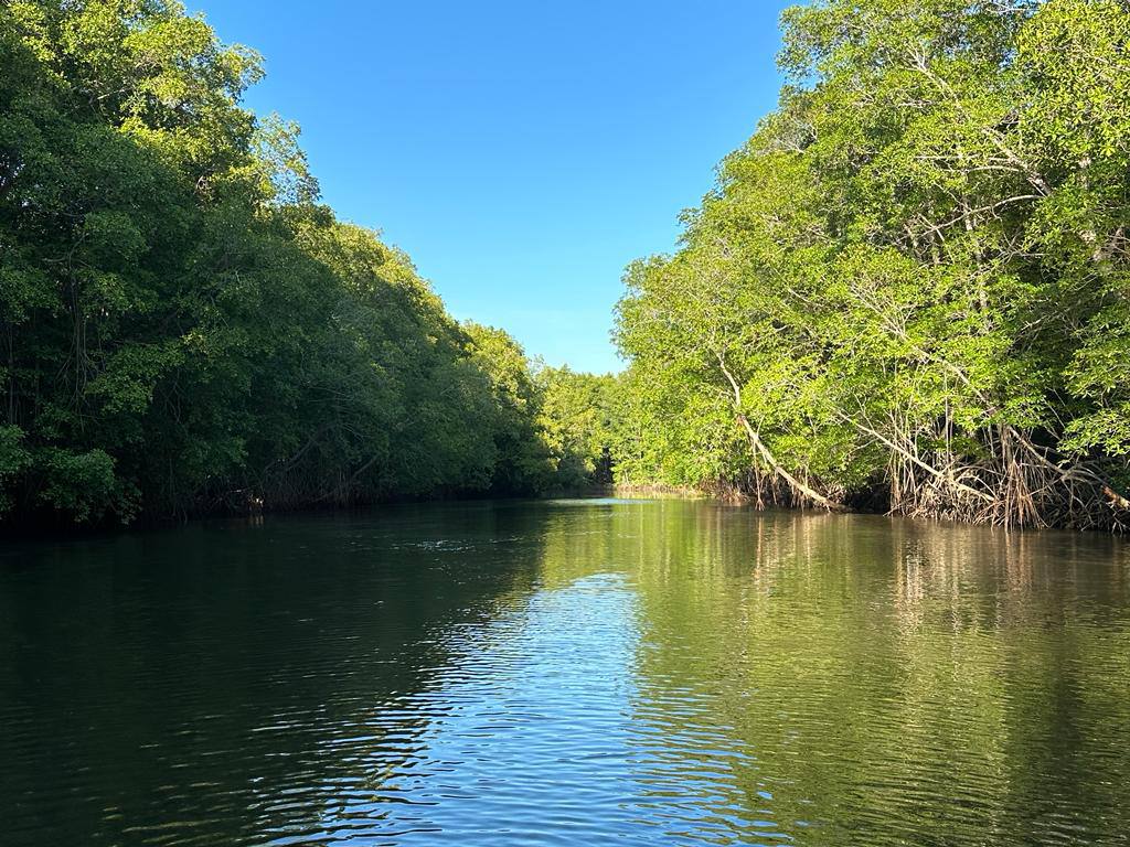 🛶 Tour Estero Jaltepeque - Imagen 6