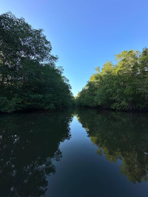 🛶 Tour Estero Jaltepeque - Imagen 7