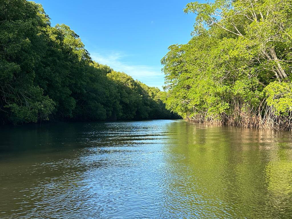 🛶 Tour Estero Jaltepeque - Imagen 8